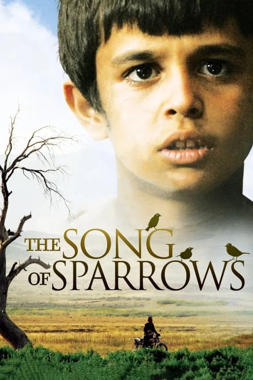 The Song of Sparrows