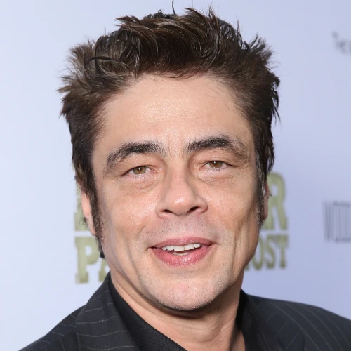 Benicio Del Toro